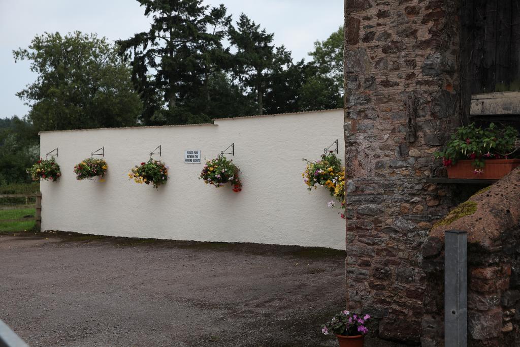 Weir Mill Farm Bed & Breakfast Cullompton Dış mekan fotoğraf