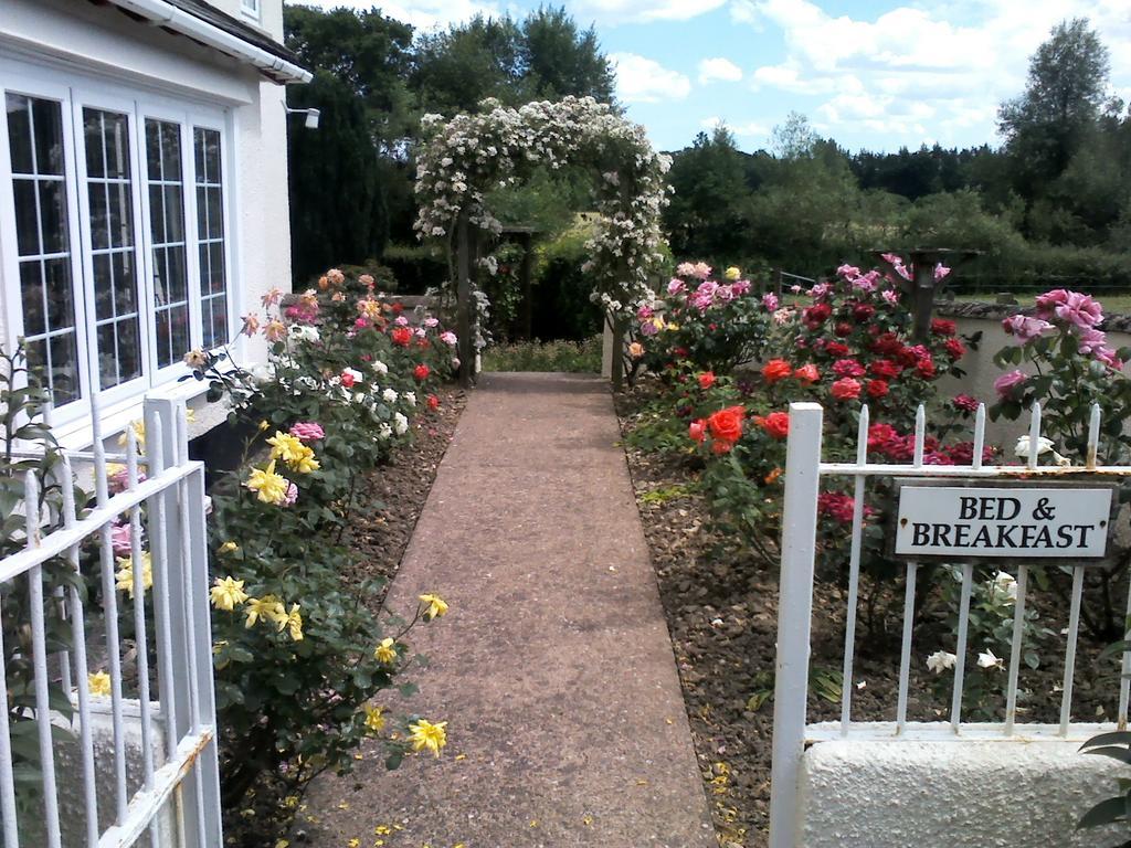 Weir Mill Farm Bed & Breakfast Cullompton Dış mekan fotoğraf